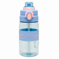 500ml 2-in-1 Straw & Spout Sipper Bottle – Sky Blue