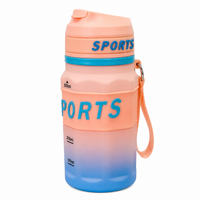 550ml Sports Straw Sipper Bottle with Carry Strap – Peach & Blue