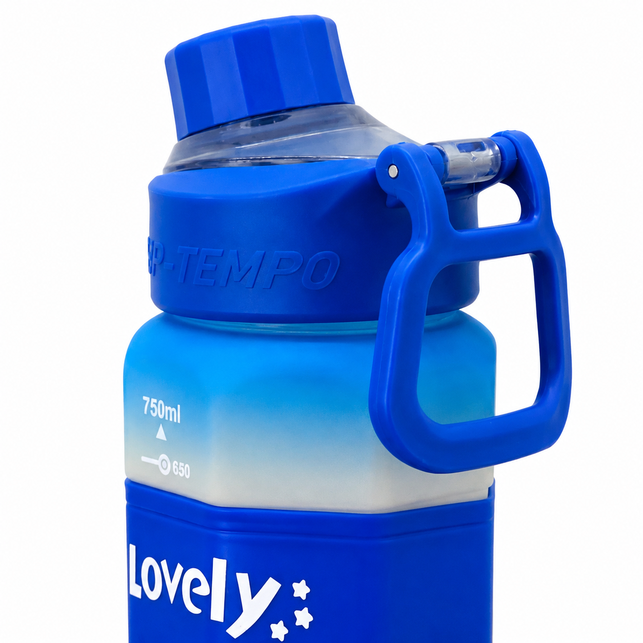 600ml Matte Finish Bottle – Blue Gradient