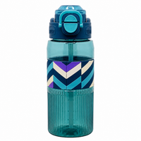 800ml 2-in-1 Straw & Spout Water Bottle – Aqua Blue