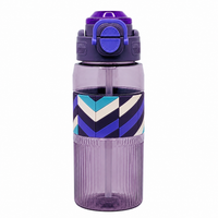800ml 2-in-1 Straw & Spout Water Bottle – Purple