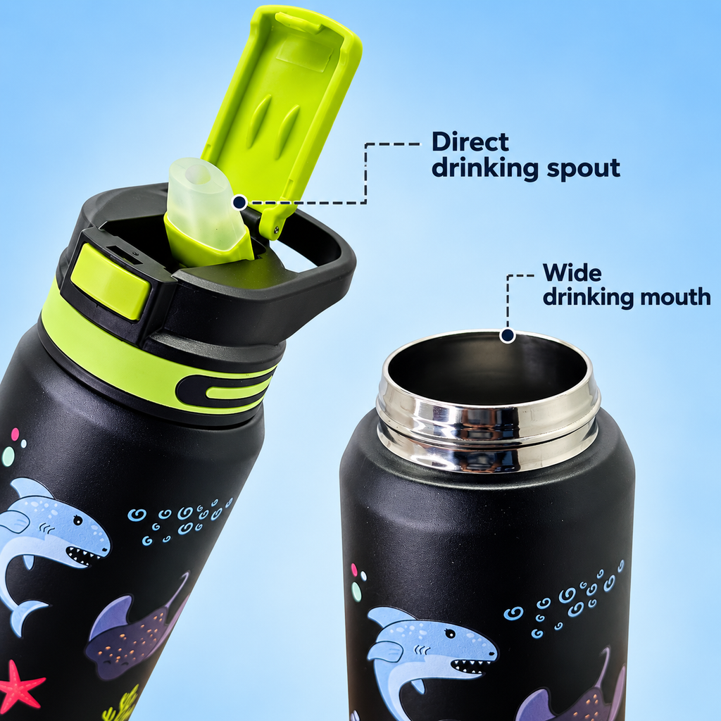 800ml Sea Life Adventure Insulated Bottle