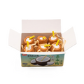Coconut Fruit Eraser Set | 6pcs Mini Realistic Eraser Box