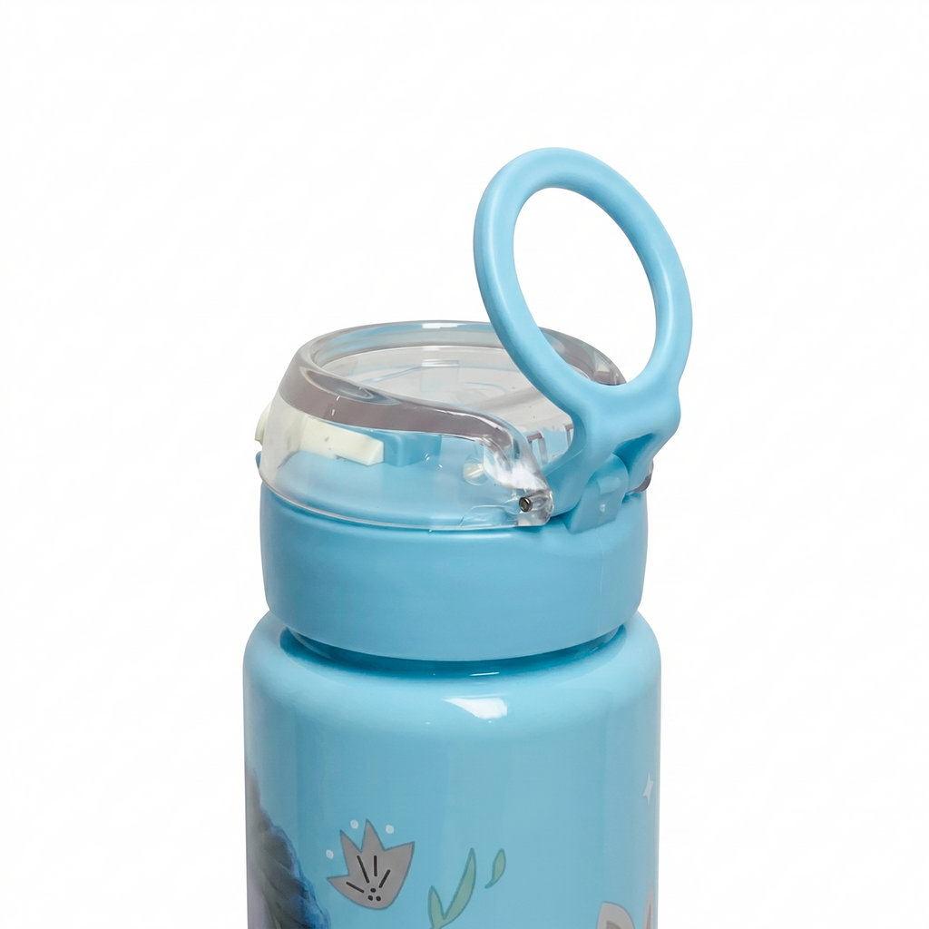 Disney Frozen "Ice Queen" 900ml Premium Graphic Bottle