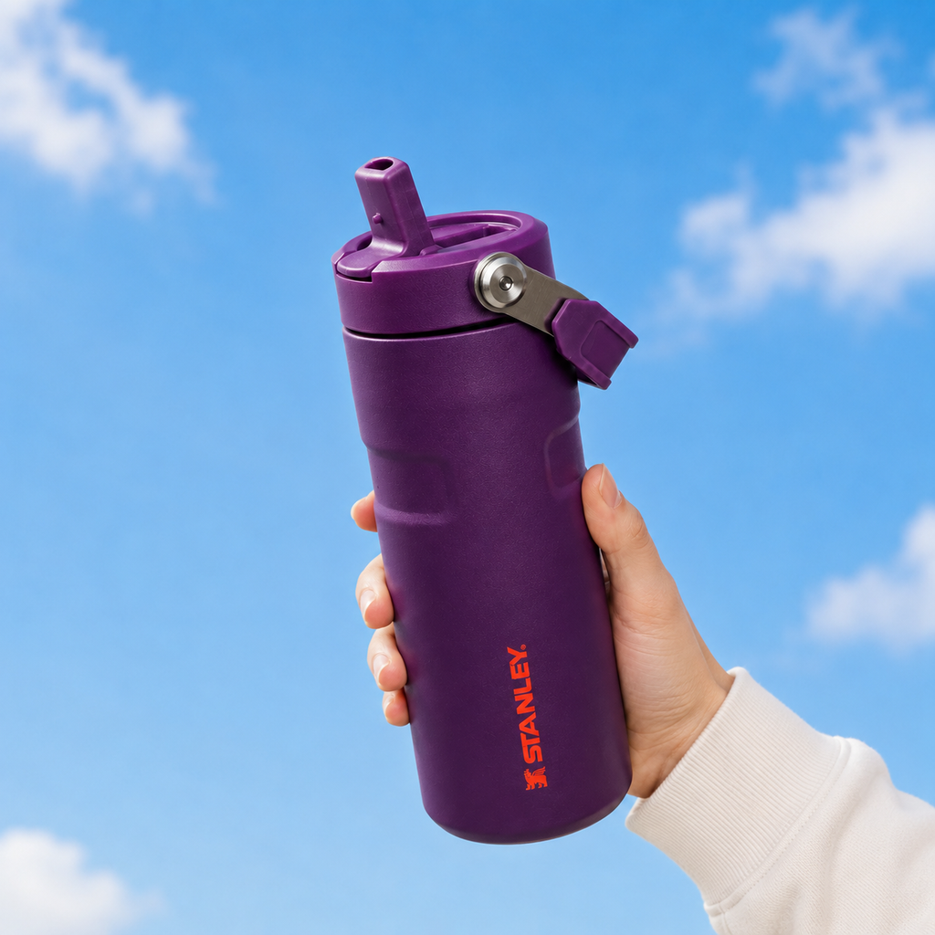 Stanley IceFlow Flip Straw 2.0 Water Bottle (16 oz) | Plum