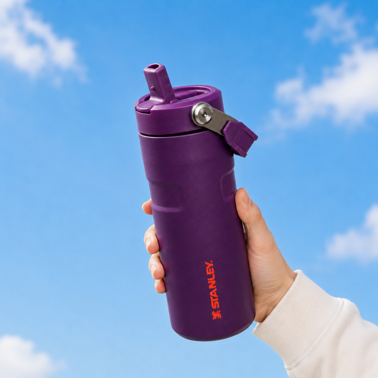 Stanley IceFlow Flip Straw 2.0 Water Bottle (16 oz) | Plum