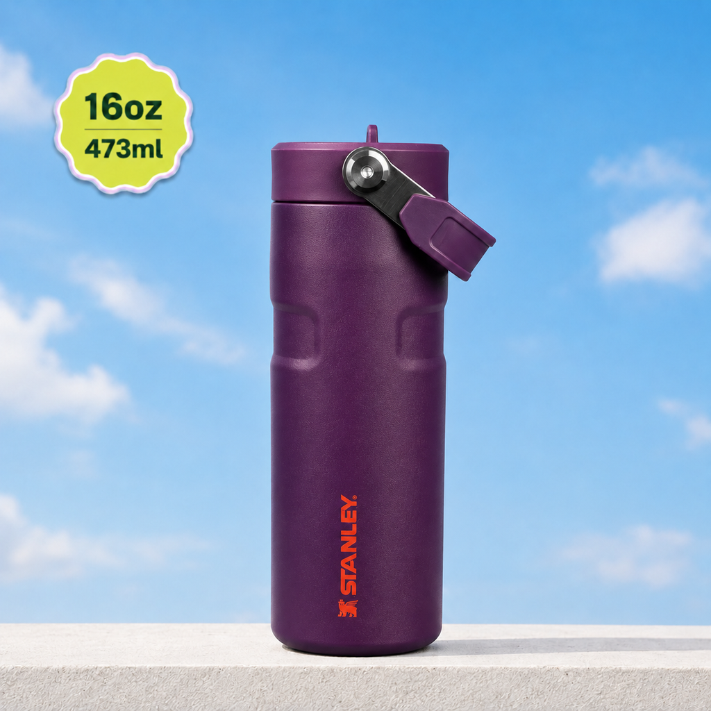 Stanley IceFlow Flip Straw 2.0 Water Bottle (16 oz) | Plum