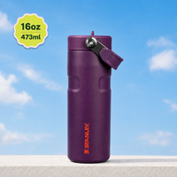 Stanley IceFlow Flip Straw 2.0 Water Bottle (16 oz) | Plum