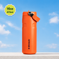 Stanley IceFlow Flip Straw 2.0 Water Bottle (16 oz) | Tigerlily Orange